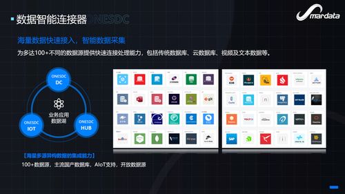 軟件能力，重新想象 數睿數據出席Njsd2021第七屆全球軟件大會，共話數字文化創意軟件開發新篇章